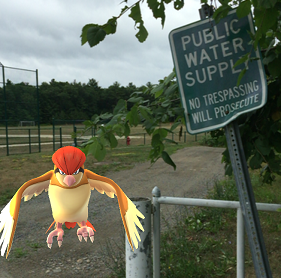 pokemon go trespassing